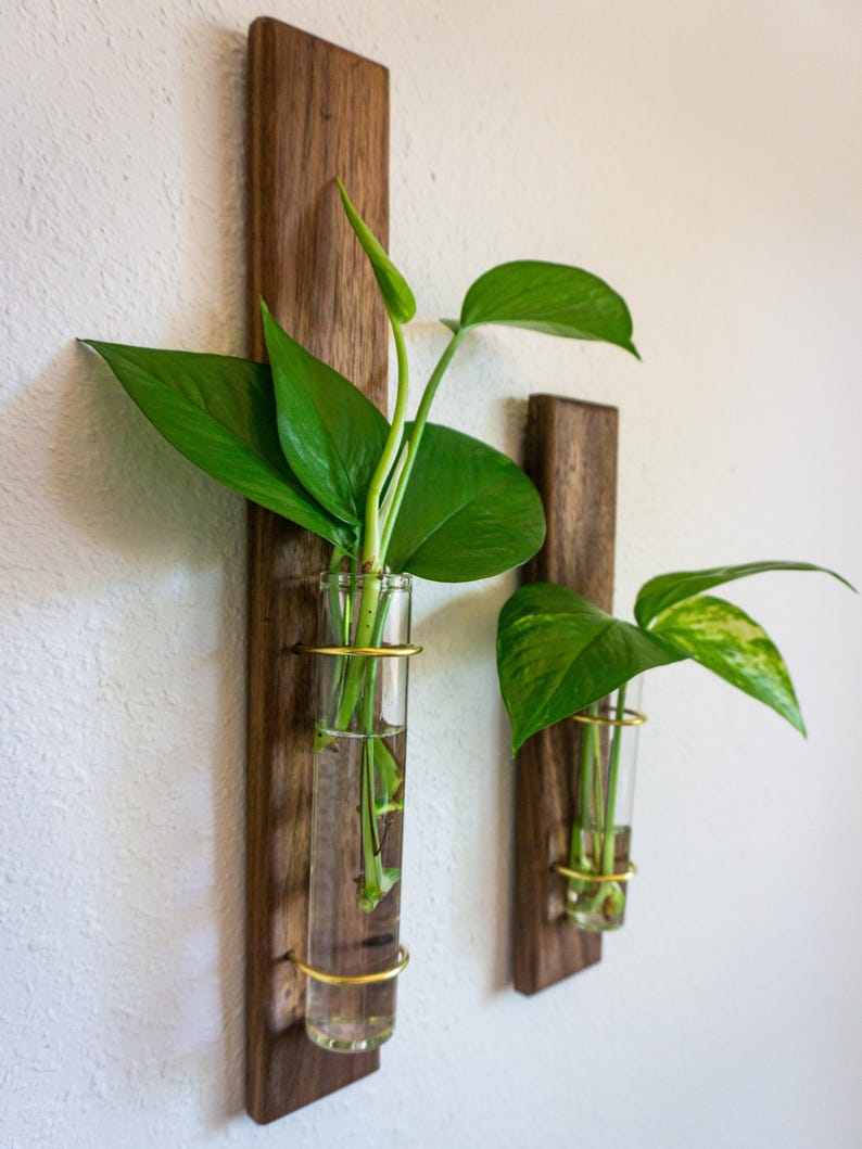 May include: Two wall-mounted wooden planters with glass tubes and gold-colored metal rings. Each planter holds a green leafy plant. The wood has a dark brown finish. The plants are in clear glass tubes, creating a modern, minimalist aesthetic.