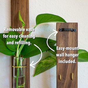 May include: A wooden wall-mounted vase with a clear glass tube and gold-colored ring. The vase holds green leafy plants. The text says, "Removable vase for easy cleaning and refilling." The back has an easy-mount wall hanger.