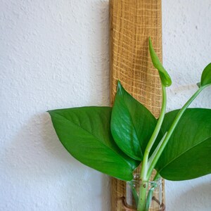 Willow | Wood Metal Propagation Station Bud Vase Wall Mounted Plant Decor image 10