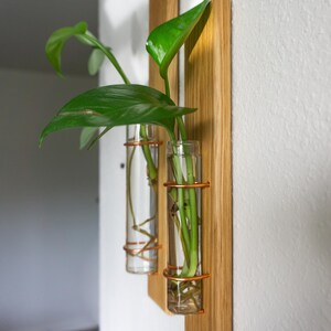 Willow | Wood Metal Propagation Station Bud Vase Wall Mounted Plant Decor image 13