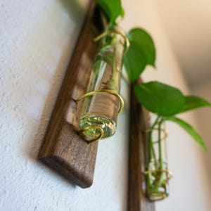May include: Two wall-mounted propagation stations. Each station features a small glass tube held by a gold-colored wire, mounted on a dark brown wooden board. Green plant leaves are visible inside the tubes, and the boards are mounted on a white wall.