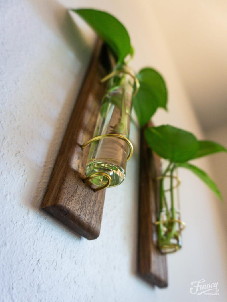 May include: Two wall-mounted propagation stations. Each station features a small glass tube held by a gold-colored wire, mounted on a dark brown wooden board. Green plant leaves are visible inside the tubes, and the boards are mounted on a white wall.