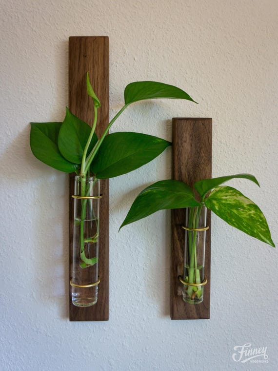 Willow Wood Metal Propagation Station Bud Vase Wall Mounted Plant Decor Minimalist Gift
