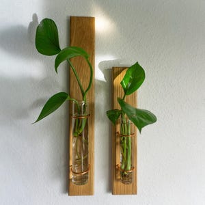 Willow | Wood Metal Propagation Station Bud Vase Wall Mounted Plant Decor image 3