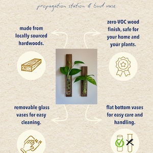 May include: The image showcases a propagation station and bud vase set, labeled "ABOUT WILLOW." The design features two wooden holders with glass tubes, each holding a plant. The text highlights features like locally sourced hardwoods, zero-VOC finish, and removable glass vases.