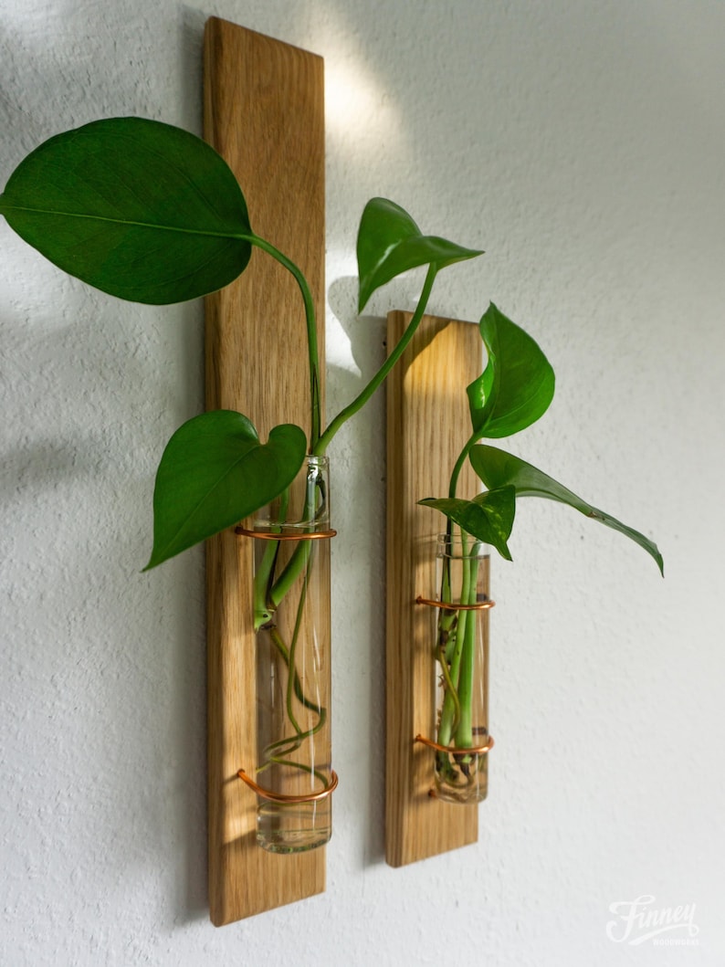 May include: Two wooden wall planters with glass tubes and copper-colored metal rings, holding green plants. The wooden planks are rectangular and mounted on a white wall. The plants have large, vibrant green leaves.