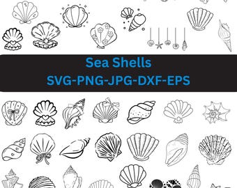 May include: A collection of black and white line art illustrations featuring various sea shells, starfish, and shell-themed arrangements. The text Sea Shells SVG-PNG-JPG-DXF-EPS is centered in a dark horizontal bar across the middle of the image.