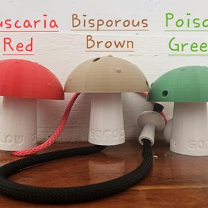Mushroom Poi (native seed dispersing flowtoy)