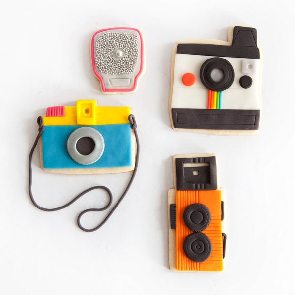 camera cookie gift box (9 cookies)