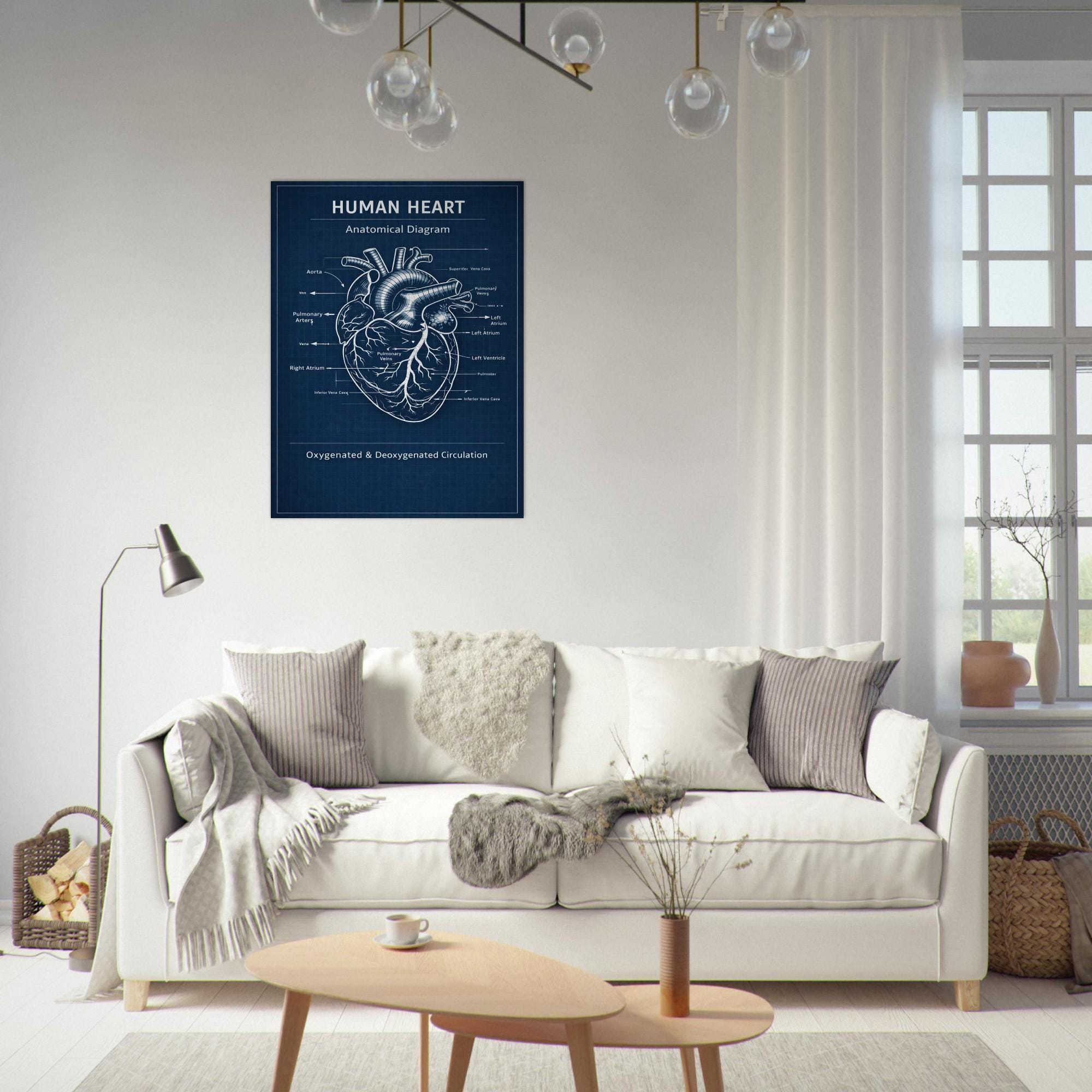 Human Heart Blueprint Poster – Anatomical Diagram Wall Art, Medical ...