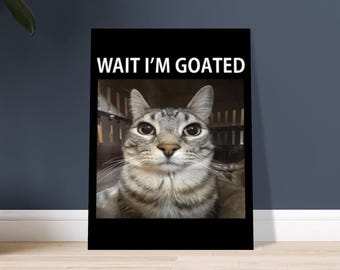 Espera, soy un póster de meme de gato cabra