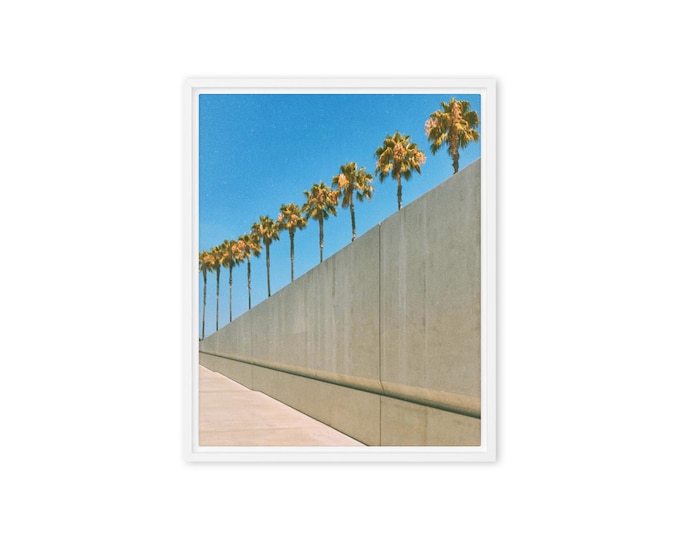 Palm Trees, Los Angeles