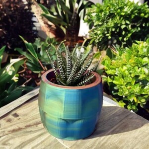 Puede incluir: Una pequeña maceta decorativa azul y verde con una planta suculenta. La maceta tiene una superficie texturizada y un borde marrón. La suculenta tiene hojas verdes con manchas blancas. La maceta está sobre una superficie de madera.