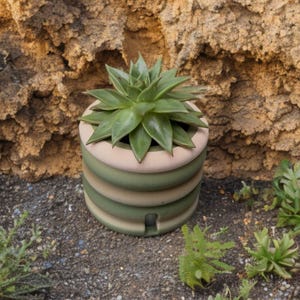 Puede incluir: Una maceta de cerámica verde y beige con una planta suculenta. La maceta cilíndrica tiene un diseño apilado con bandas verdes y beige alternas. La suculenta tiene hojas verdes y está centrada en la maceta.