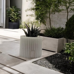 Puede incluir: Una maceta cilíndrica gris claro y acanalada contiene una planta suculenta espinosa. La maceta está sobre un patio gris claro, con otras macetas y vegetación en el fondo. La escena es al aire libre, con una paleta de colores neutros.