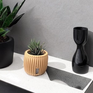 Puede incluir: Una escena interior moderna con un jarrón negro, una pequeña suculenta en una maceta acanalada de color marrón claro y una planta más grande en una maceta negra. Los objetos están colocados sobre una superficie blanca contra una pared gris.