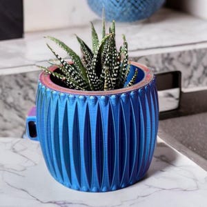 May include: A blue and purple decorative planter with a textured, ribbed design. The planter holds a small succulent plant with green and white striped leaves. The planter has a small handle on the side and is sitting on a marble surface.