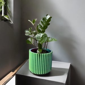Puede incluir: Una maceta verde y azul con líneas verticales, que contiene una exuberante planta verde con hojas brillantes. La maceta está sobre una superficie gris, con una pared gris oscuro de fondo. El diseño de la maceta añade un toque moderno.