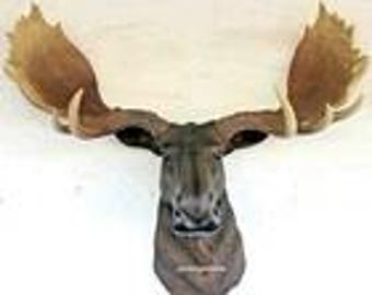 Moose Head Wall Mount Statue Moose Head Figurine