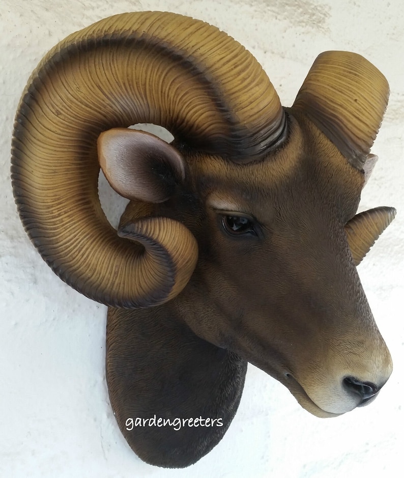 Ram Head Wall Mount Bighorn Ram Head Statue Etsy