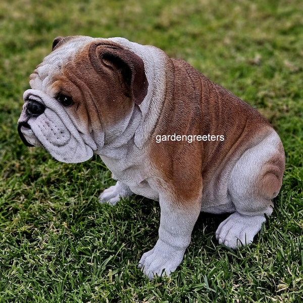 Lebensgroße Bulldogge Statue Bulldogge Figur Hund Bulldogge Groß