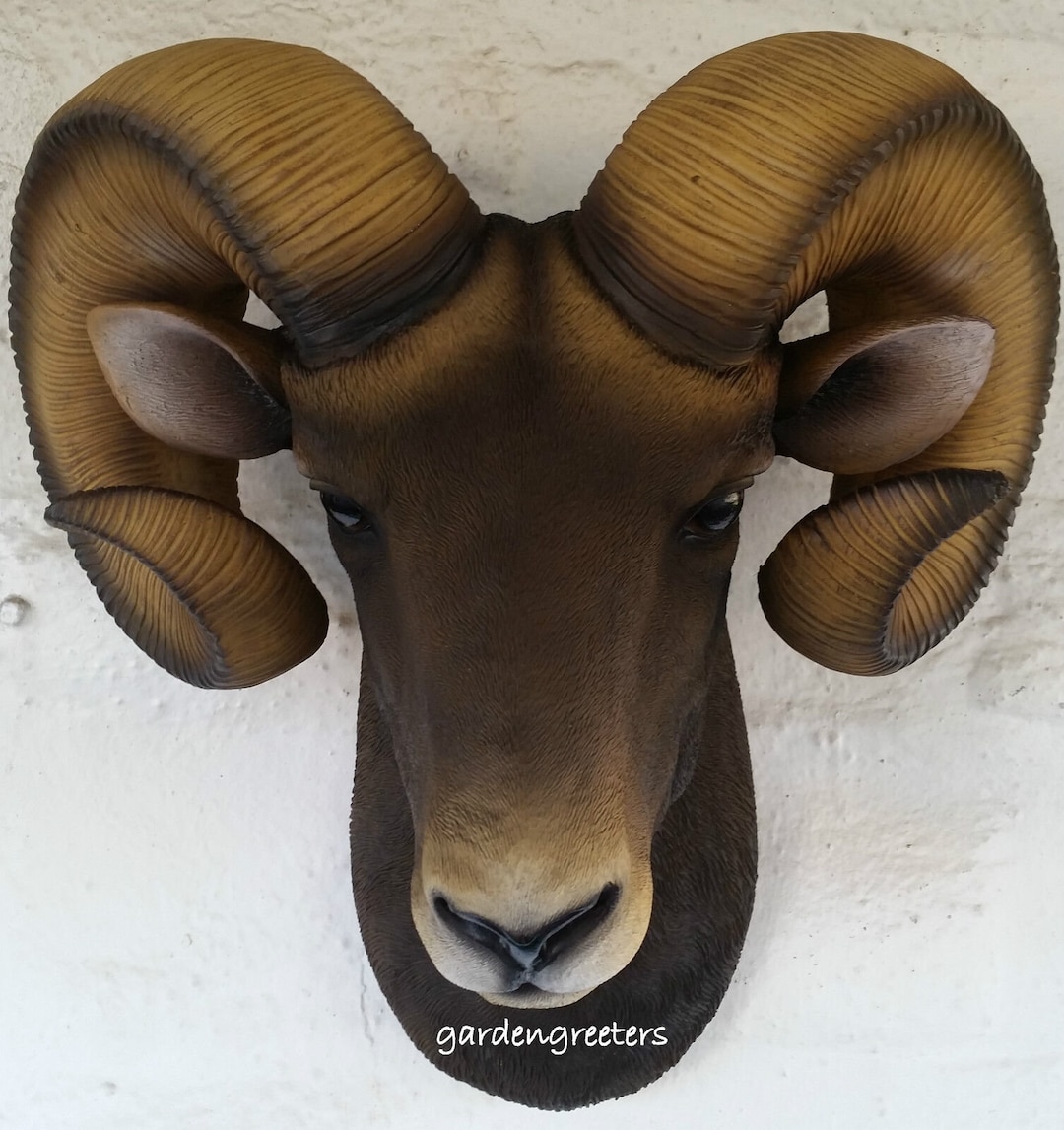 Ram Head Wall Mount Bighorn Ram Head Statue Etsy