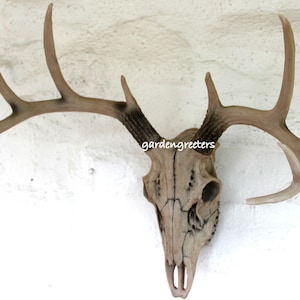 Deer Head Skull  Wall Mount Deer 8 Point Buck Skull Wall Mount Statue
