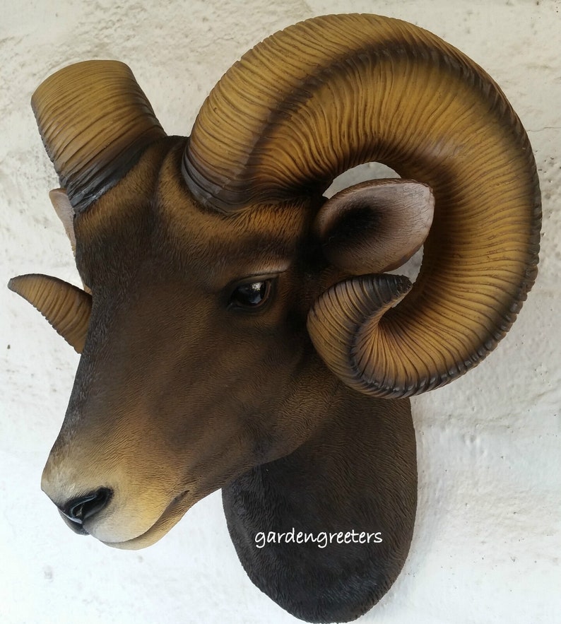 Ram Head Wall Mount Bighorn Ram Head Statue Etsy