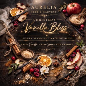 Christmas Vanilla Bliss Simmer Pot Blend | Vanilla Spice Stovetop Potpourri | Cozy Holiday Home Scent | Natural Botanical Simmer Pot