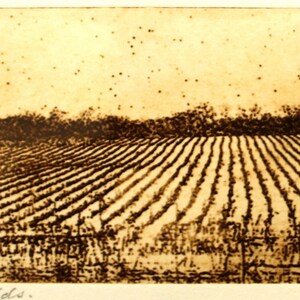 Winter Fields, signed, limited edition etching