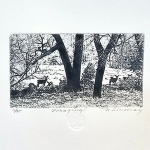 Original etching titled &quot;Foraging&quot;, artist signed, wildlife, deer