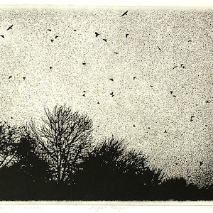 Original etching titled "Night Flight" signed by artist