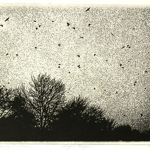 Original etching titled "Night Flight" signed by artist