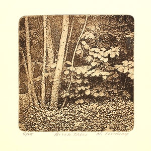 Birch Trees, signed etching, intaglio print