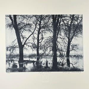 Original etching, intaglio print titled &quot;High Water&quot; signed by artist