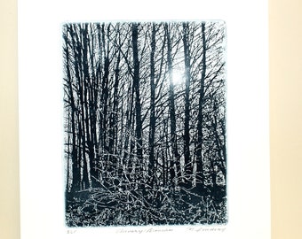 Original etching titled "Shivery Branches" signed by artist, winter trees, sun