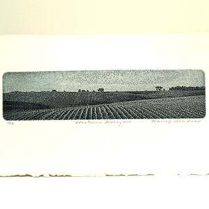 May include: A black and white landscape etching on off-white paper featuring a field with rows of crops under a textured sky. The print is titled Western Horizon and signed by Nancy Lindsay, with the edition number 7/8 visible at the bottom.