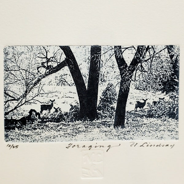 Original etching titled "Foraging", artist signed, wildlife, deer