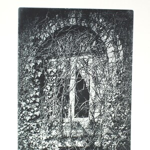 Original etching titled &quot;Vines&quot; signed by artist