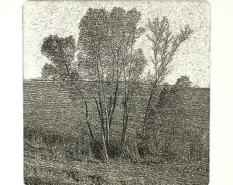 Original etching titled "Slender Branches" signed by artist