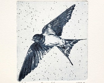 Original etching titled "Swallow" signed by artist