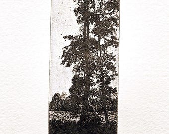 Original solarplate etching titled "Moonlight", trees in moonlight
