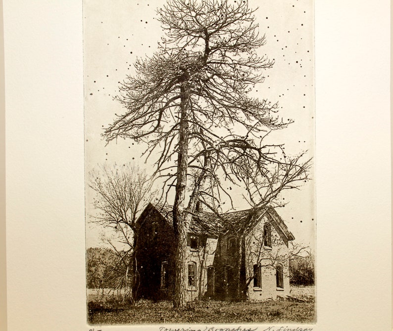 Etching titled Towering Branches, artist signed, Trees, house. image 4
