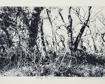 Original etching titled "Along the Rio Grande" signed by artist