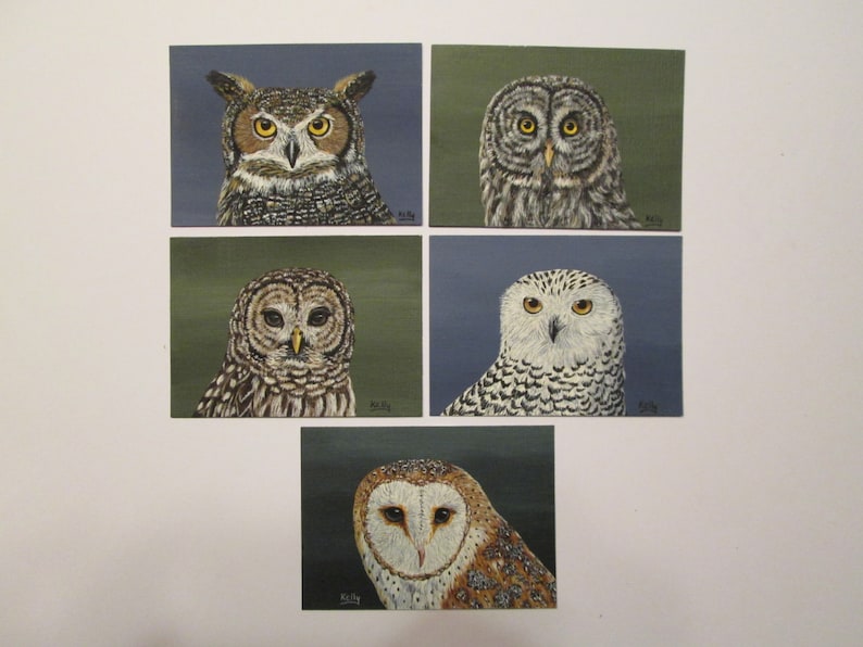 ACEO 2 12 x 3 12 Signed Print of Barn Owl from Original Acrylic by Ann Kelly