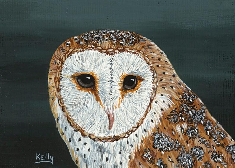 ACEO 2 12 x 3 12 Signed Print of Barn Owl from Original Acrylic by Ann Kelly