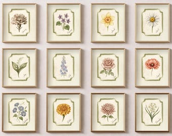 12 Birth Month Flower Prints, Vintage Botanical Wall Art Set, Watercolor Floral Gallery, Minimalist Nursery Decor, Print Digital Download