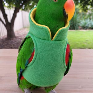 May include: A green parrot wearing a sleeveless green vest with a yellow inner lining. The parrot has bright green feathers, a prominent orange beak, and dark grey feet. The vest features a high collar design that fits snugly around the neck.