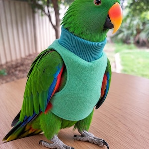 May include: A green parrot wearing a sleeveless vest with a ribbed teal turtleneck collar. The bird has bright green feathers, a vibrant orange beak, and patches of red and blue plumage visible on its wings. The vest is a solid light green.