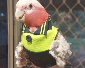 Bird Tradie vest
